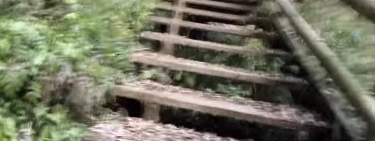 滝