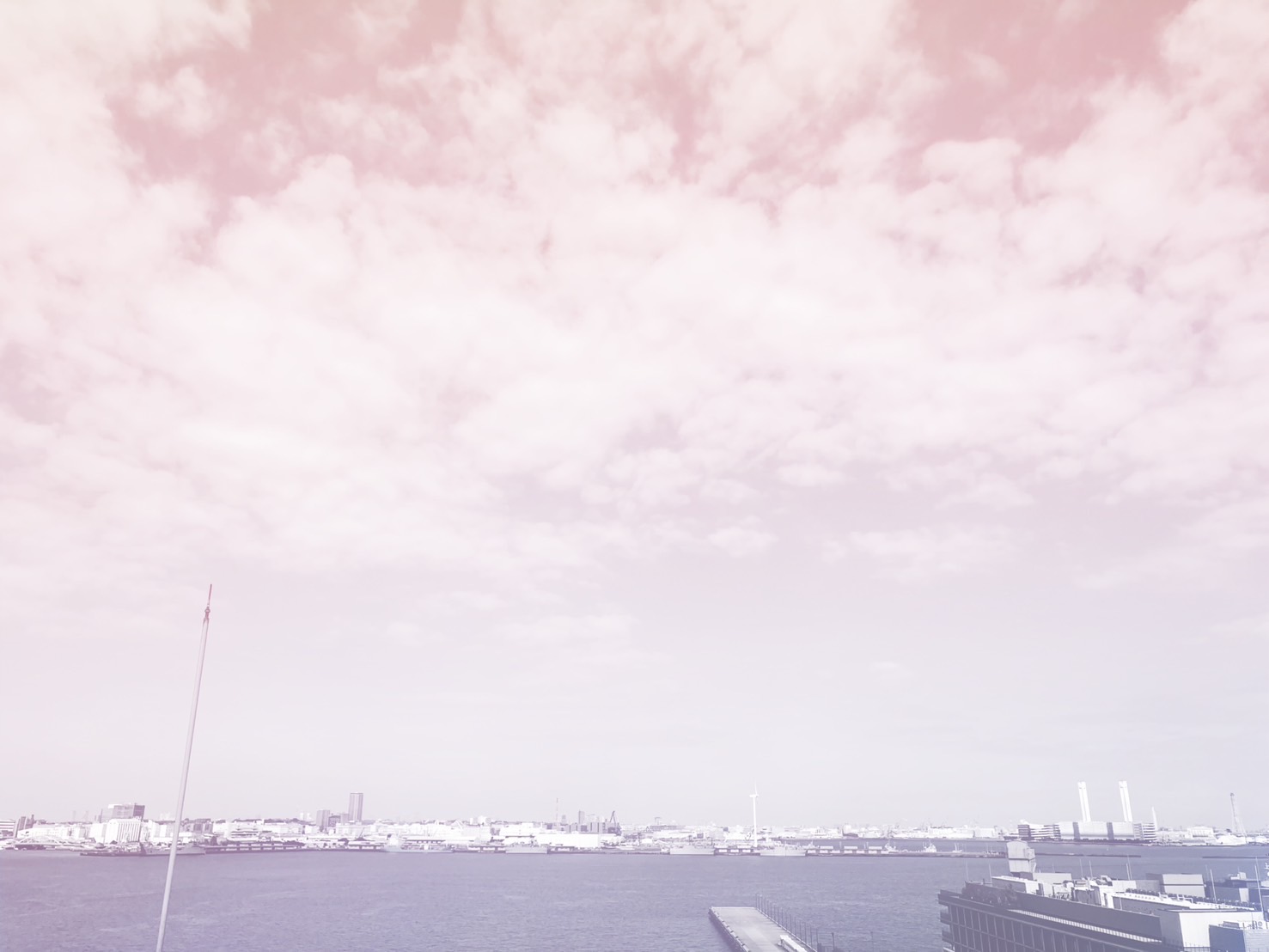 海